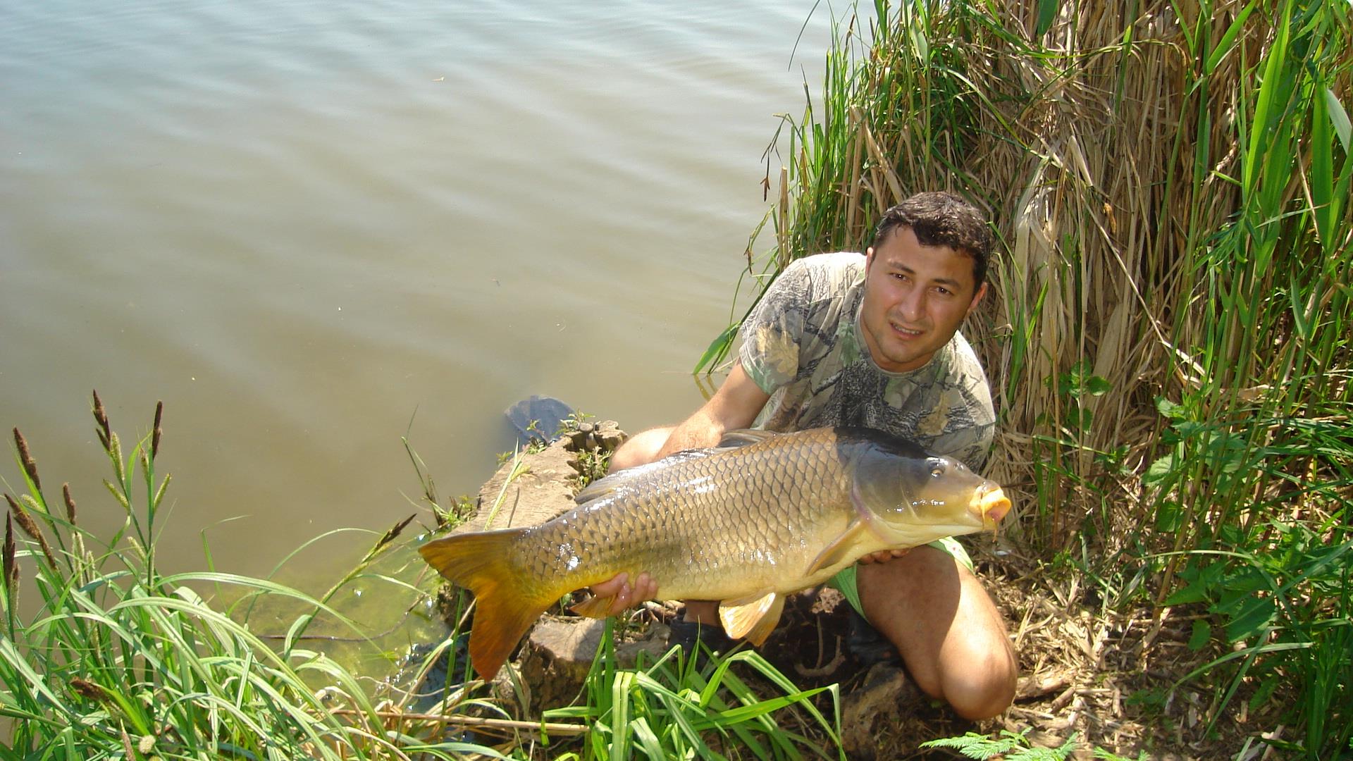 Tancabesti - dsc03289.JPG